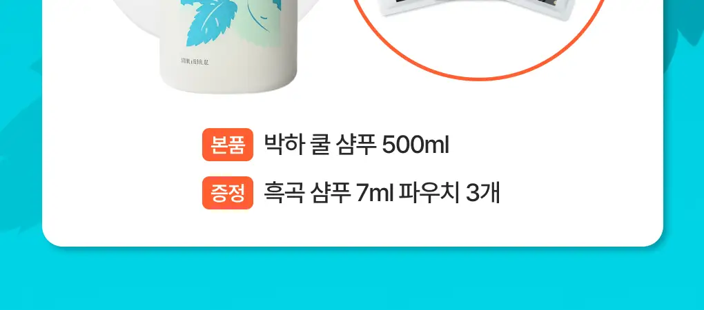 [성분천재/떡짐샴푸] 청미정 박하 쿨 샴푸 500ml (단품/기획) 상세페이지 2